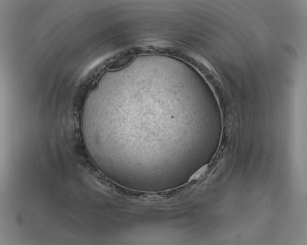 X0000114091112200910191557