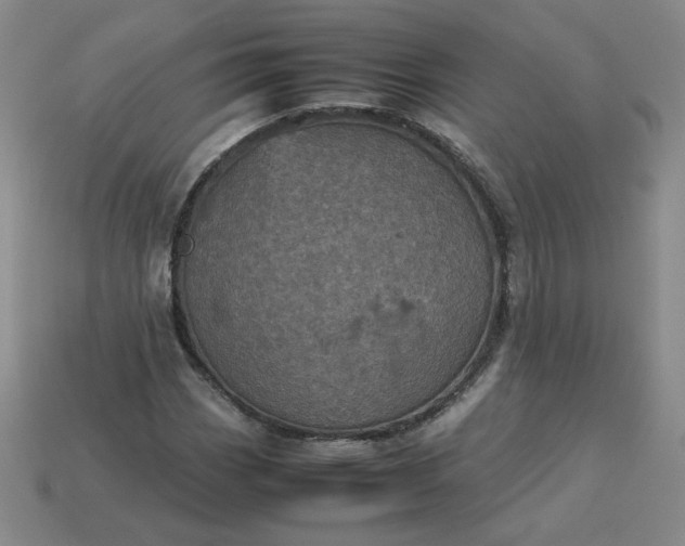 X0000114091113200910191557