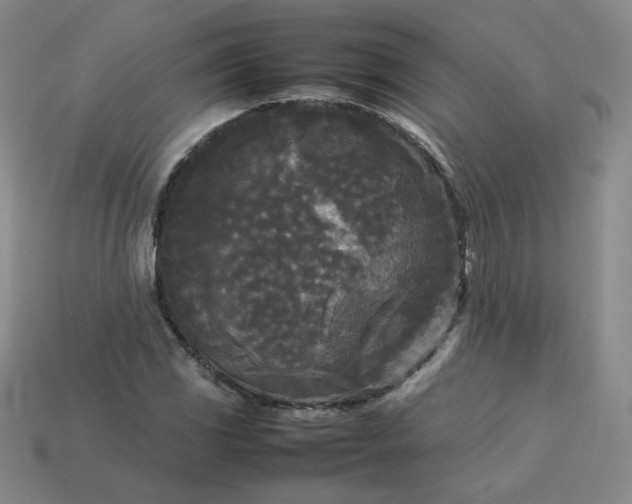 X0000114091117200910191557