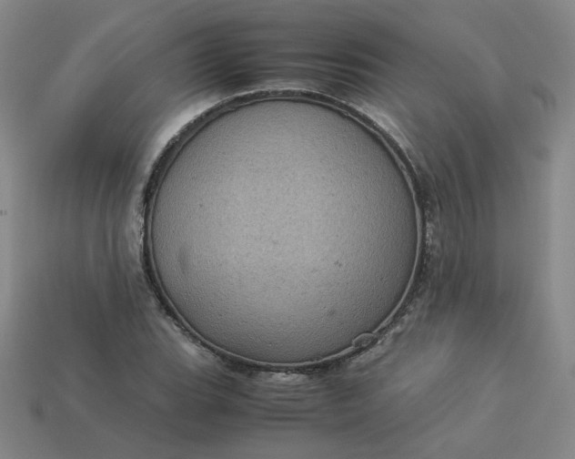 X0000114091119200910191557