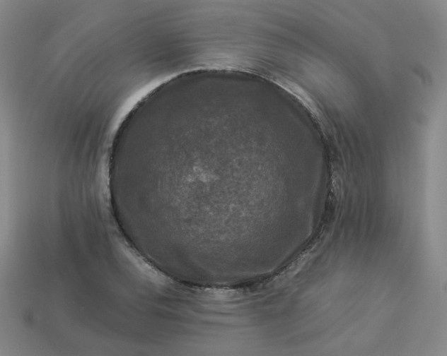 X0000114091120200910191557