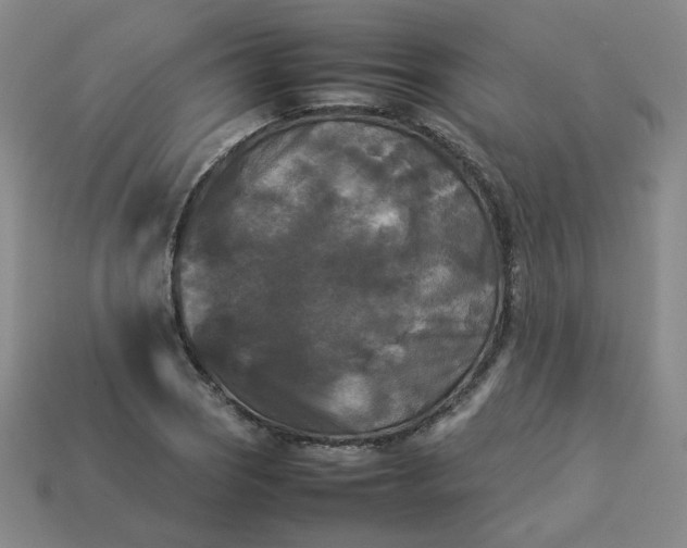 X0000114091121200910191557