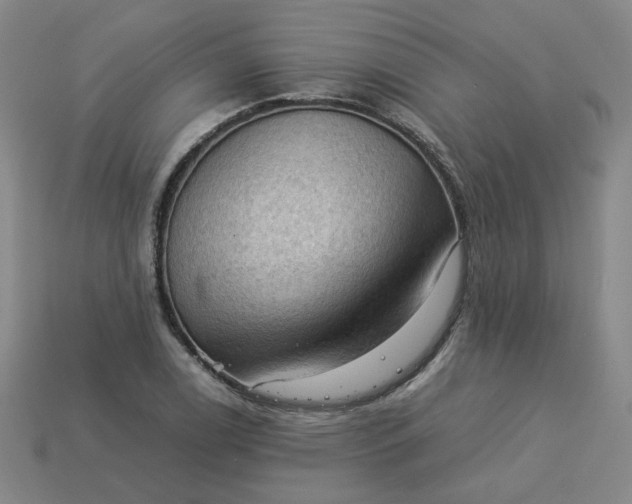 X0000114091122200910191557