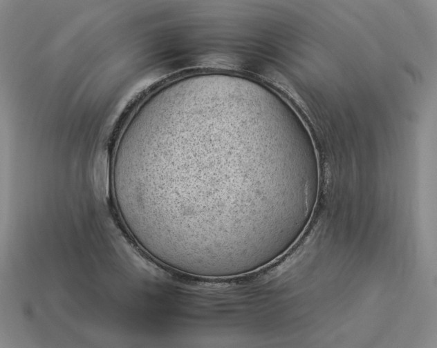 X0000114091123200910191557