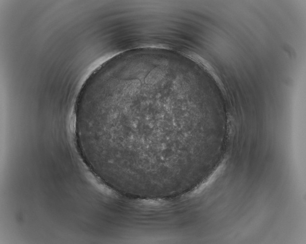 X0000114091125200910191557