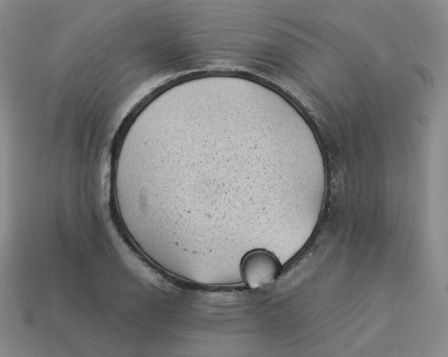 X0000114091126200910191557