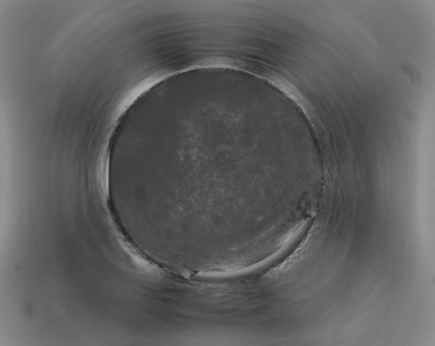 X0000114091127200910191557