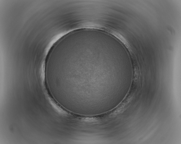 X0000114091128200910191557