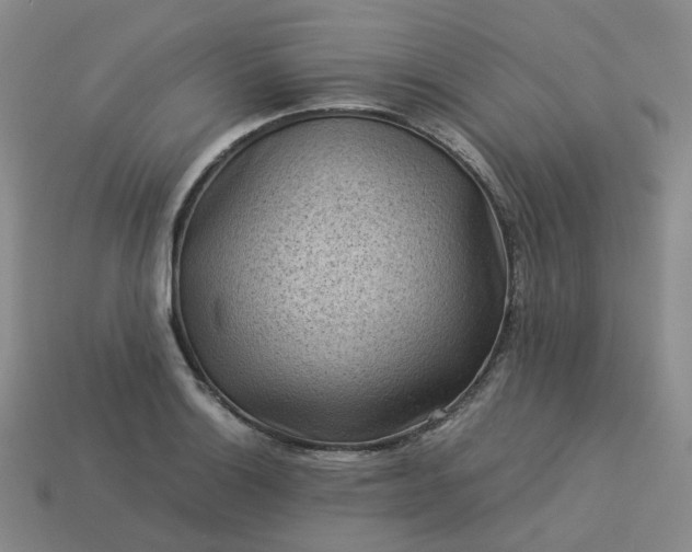 X0000114091132200910191557