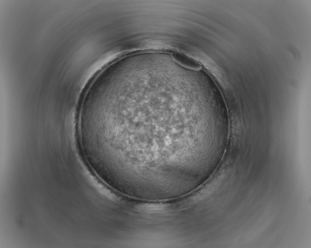 X0000114091134200910191557