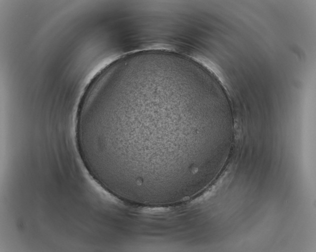 X0000114091135200910191557