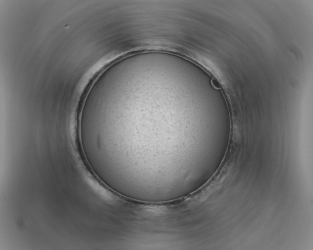 X0000114091136200910191557