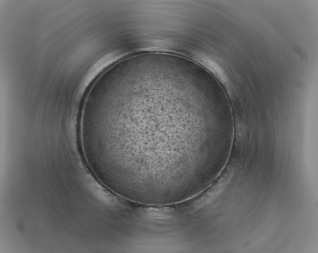 X0000114091138200910191557