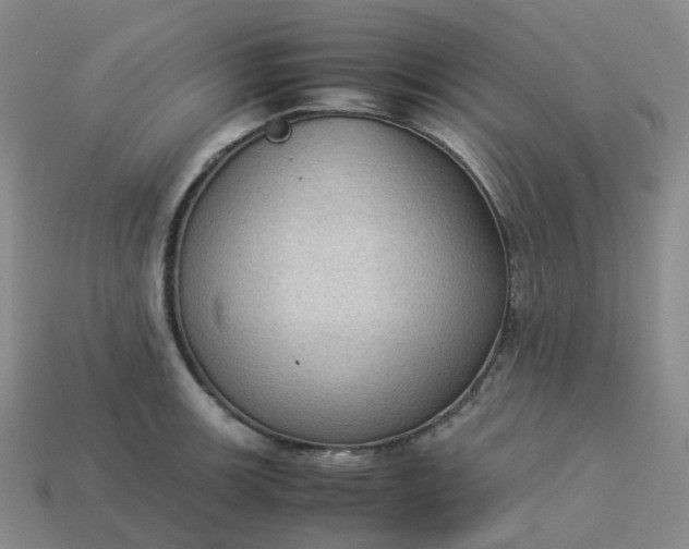X0000114091139200910191557
