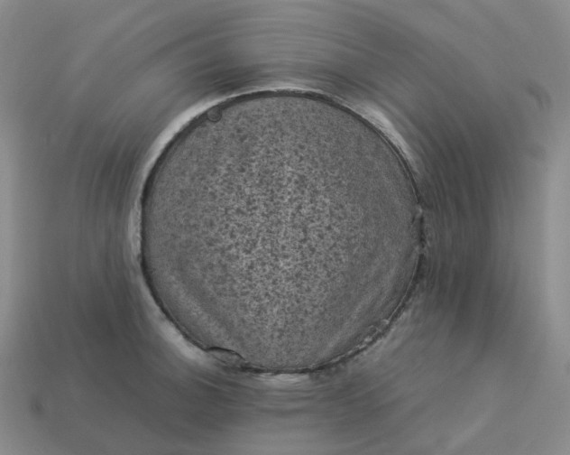X0000114091140200910191557