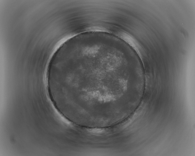 X0000114091141200910191557