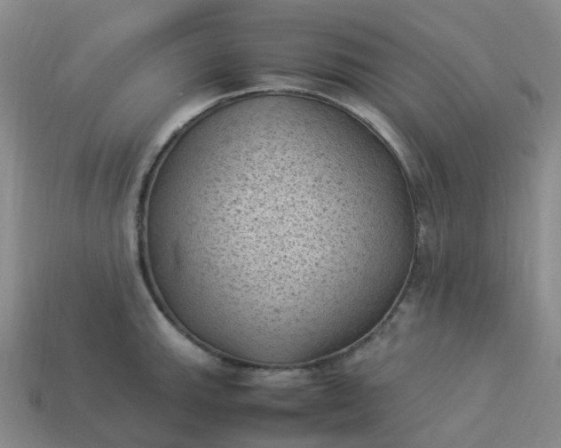 X0000114091143200910191557