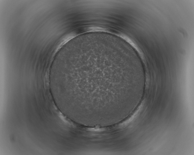 X0000114091145200910191557
