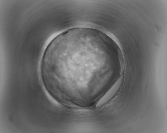 X0000114091152200910191557