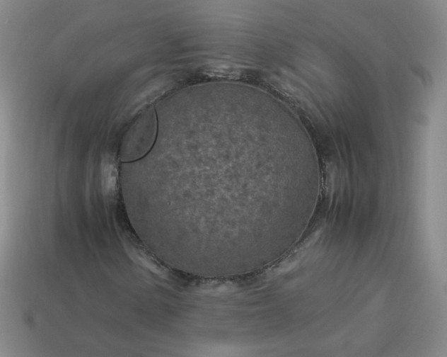 X0000114091154200910191557