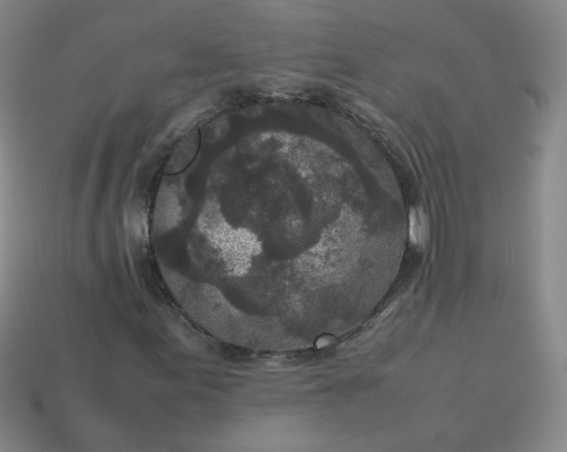 X0000114091155200910191557