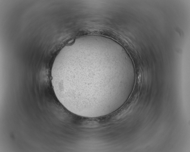X0000114091156200910191557