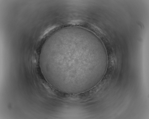 X0000114091158200910191557
