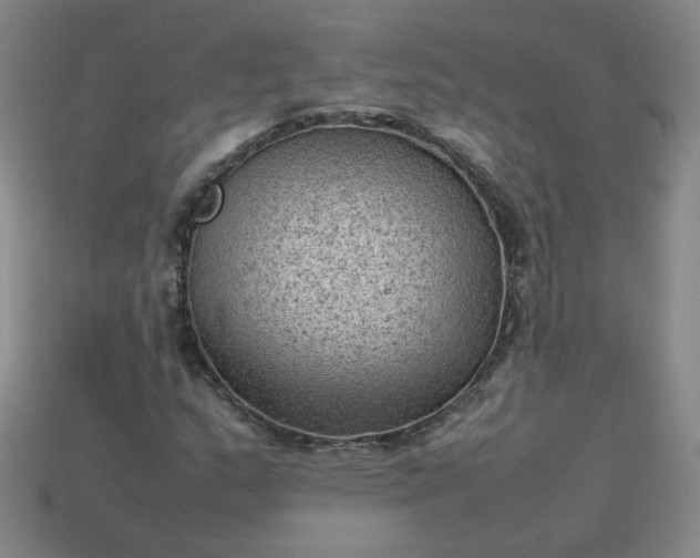 X0000114091159200910191557