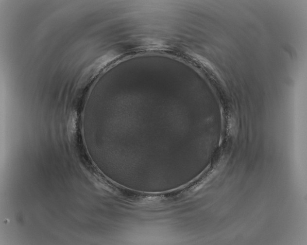 X0000114091161200910191557