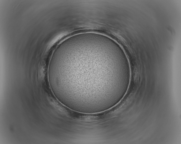 X0000114091163200910191557