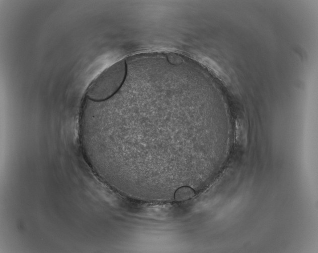 X0000114091165200910191557