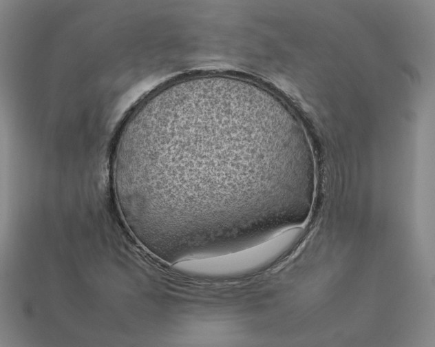 X0000114091167200910191557