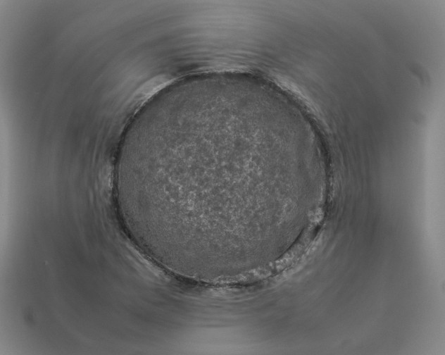 X0000114091169200910191557