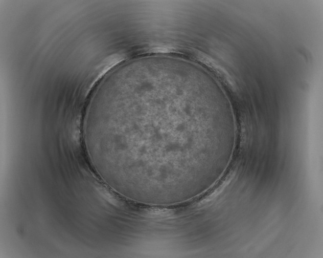 X0000114091170200910191557