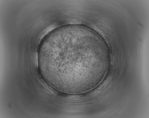 X0000114091171200910191557