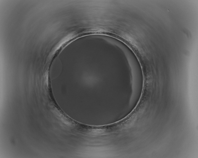X0000114091173200910191557