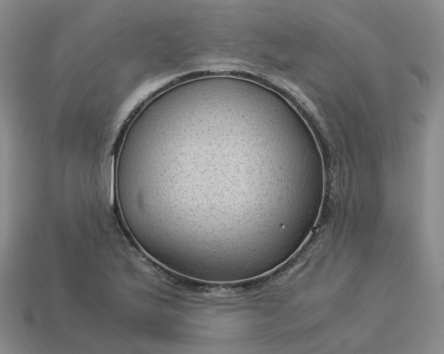 X0000114091175200910191557