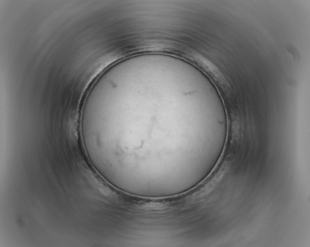 X0000114091178200910191557