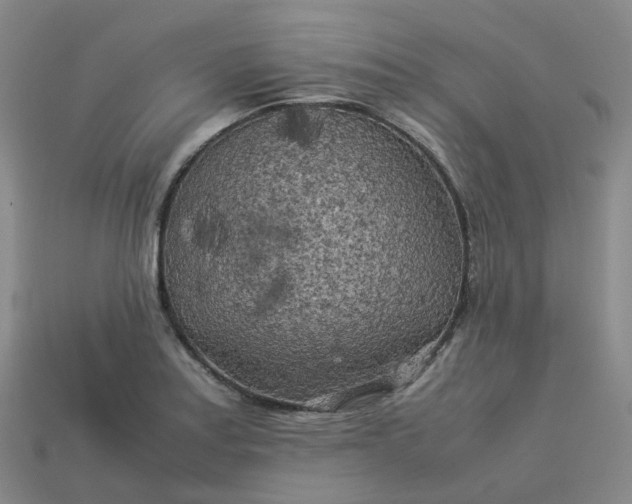 X0000114091179200910191557