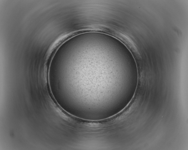 X0000114091180200910191557