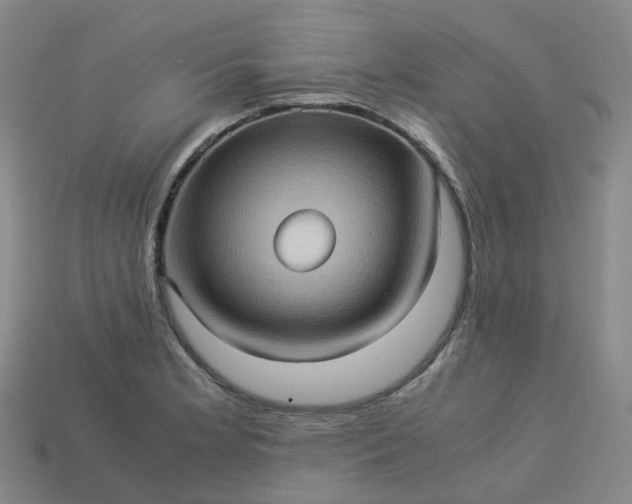 X0000114091181200910191557