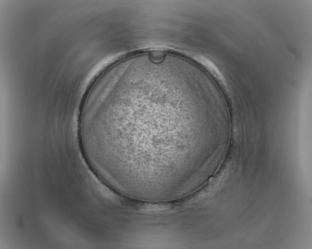 X0000114091183200910191556