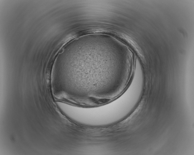 X0000114091185200910191556