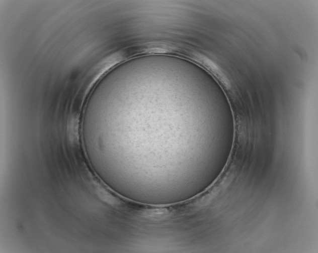 X0000114091186200910191556