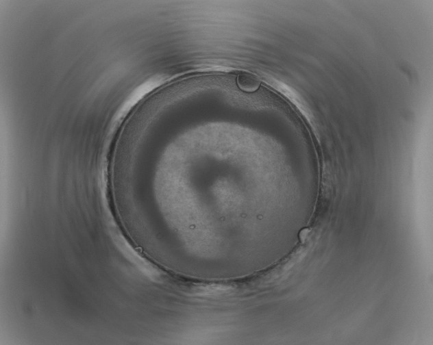 X0000114091187200910191556
