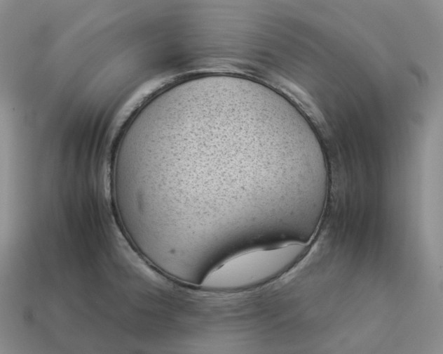 X0000114091188200910191556