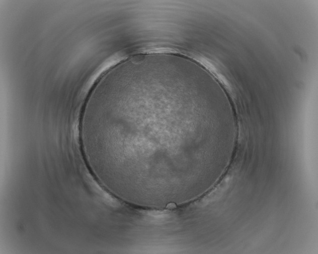 X0000114091189200910191556
