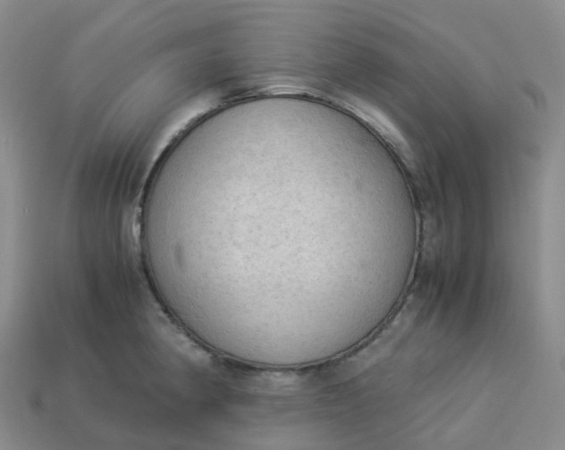 X0000114091190200910191556