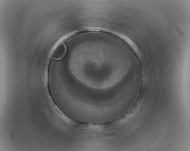 X0000114091191200910191556