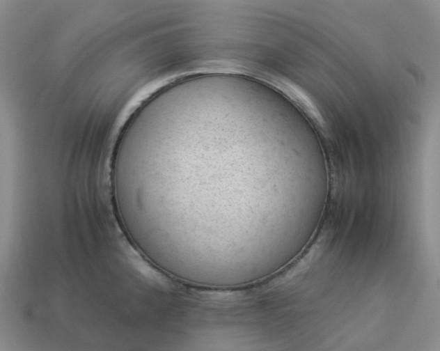 X0000114091192200910191556